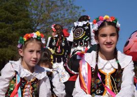 Argentina_-_Misiones_-_Oberá_-_Fiesta_del_Inmigrante_2014_-_Desfile_Inaugural_21
