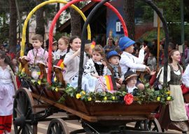 fiesta-inmigrante-carrito